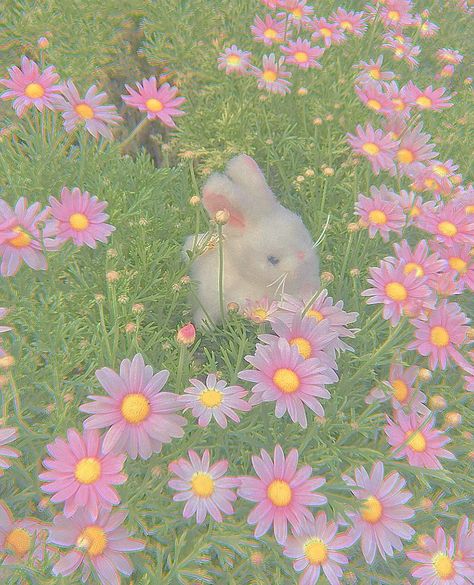 cottagecore, cottage, fairy, fairycore, pastel, nature, aesthetic Pastel Nature Aesthetic, Fairy Core Aesthetic, Pastel Cottagecore, Pastel Nature, Pastel Kidcore, Creepy Cute Fashion, Cottagecore Wallpaper, Iphone Wallpaper Cat, Fairycore Aesthetic