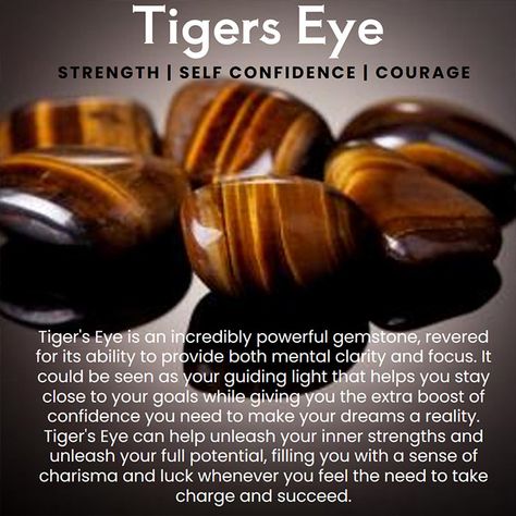 Tiger Eye Meaning, Healing Properties & Uses of this Stunning Crystal Tigers Eye Meaning, Tiger Eye Benefits, Eye Crystals, Eye Meaning, Salt Rock Lamp, Green Aventurine Crystal, Tiger Eye Jewelry, Tiger Eye Crystal, Crystals Healing Properties