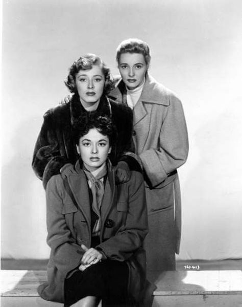 Ruth Roman, Eleanor Parker And Patricia Neal For "Three Secrets" (1950) Ruth Roman, Eleanor Parker, Patricia Neal, Old Hollywood Style, August 8, January 20, Classic Movies, Classic Hollywood, Old Hollywood