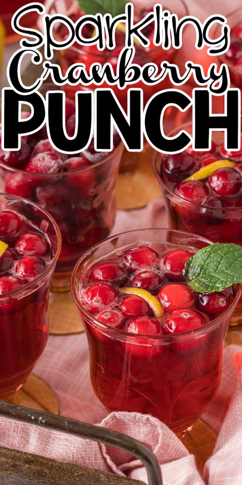 Sparkling Cranberry Punch, Jamaican Sorrel Drink Recipe, Cranberry Sprite, Sorrel Drink Recipe, Wine Punch Recipes, Party Punch Recipe, Sparkling Punch, Cranberry Ginger Ale, Easy Party Punch