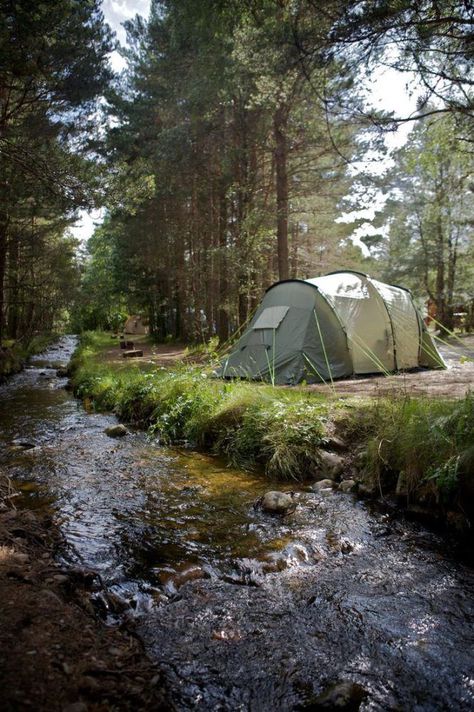 Tenda Camping, Camping Aesthetic, Camping Places, Festival Camping, Camping Spots, Camping Outfits, Camping Glamping, Adventure Is Out There, Camping Fun