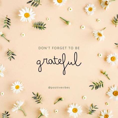 Always be Grateful   #viral #quotes #motivation #lifequotes  #growth #clarity #quotes   #lifequotes #wisdom #quoteoftheday #quoteinstagram #life #lifequotes  #love #follow #inspirational Always Be Grateful Quotes, Be Grateful Quotes, Clarity Quotes, Bloom Quotes, Grateful Quotes, Viral Quotes, Always Be Grateful, Be Grateful, 2025 Vision