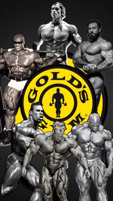 Mr.Olympia Arnold Ronnie and Cbum Mr Olympia, Gym Rat, Olympia, Vision Board, Gym