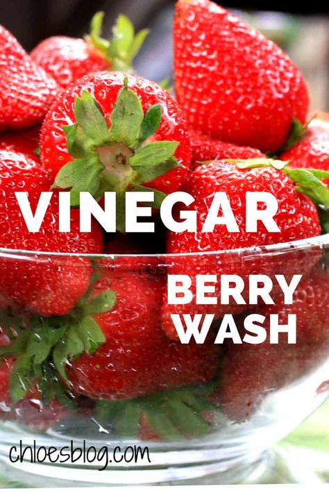 Washing Berries in a Vinegar Wash https://chloesblog.bigmill.com/washing-berries-in-a-vinegar-wash/ Washing Berries, Clean Strawberries, How To Clean Strawberries, How To Wash Strawberries, Wash Strawberries, Wash Fruits And Vegetables, Cleaning Fruit, Fruit Veggie Wash, Washing Fruits And Vegetables