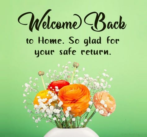 Back To Home Quotes, Safe Trip Message, Safe Flight Wishes, Travels Quote, Safe Travel Quotes, Happy Journey Quotes, Happy And Safe Journey, Safe Travels Quote, Facebook Cover Photos Flowers