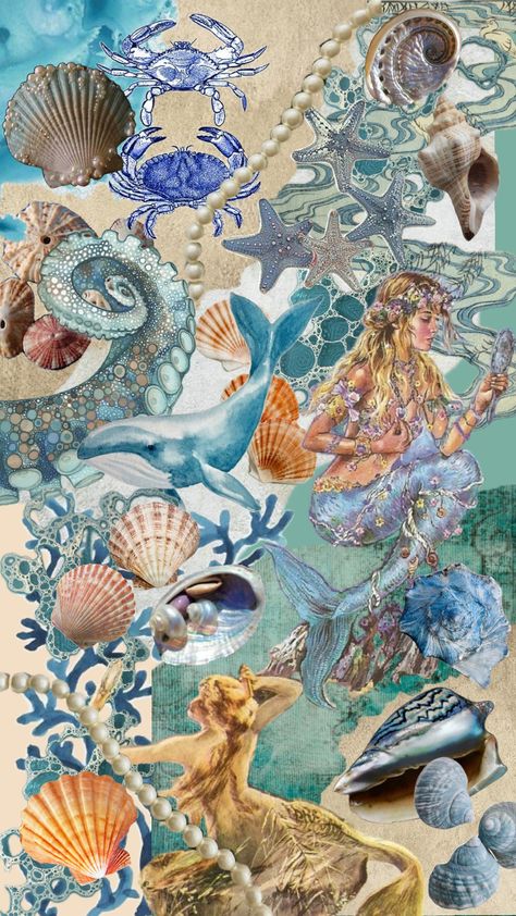 #beach #ocean #sea #mermaid #seashell Seashell Mood Board, Sea Life Mood Board, Under The Sea Collage, Ocean Mood Board, Sea Shells Aesthetic, Aquatic Aesthetic, Seashell Aesthetic, Seashell Collage, Sea Collage