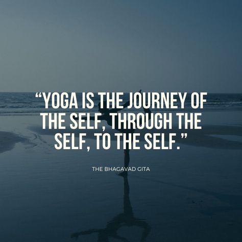 a collection of quotes about yoga and yoga sayings Quotes On Yoga, Yoga Day Quotes, Practice Quotes, Yoga Quotes Motivational, Yoga Words, Nature Quotes Adventure, What Is Yoga, Yoga Inspiration Quotes, Yoga Illustration