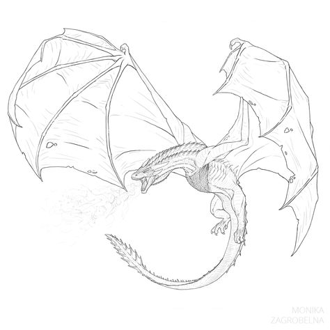 How to Draw an Ice Dragon from Game of Thrones by MonikaZagrobelna on DeviantArt Game Of Thrones Drawings, Dessin Game Of Thrones, Dragon Medieval, Dragon Anatomy, Game Of Thrones Tattoo, Game Of Thrones Dragons, Ice Dragon, Dragon Sketch, Dragon Tattoo Designs