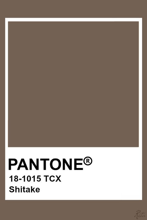 Pantone Shitake Brown Pantone, Pantone Tcx, Pantone Color Chart, Pantone Swatches, Pantone Colours, Colour Season, Sepia Color, Pantone Palette, Sand Collection