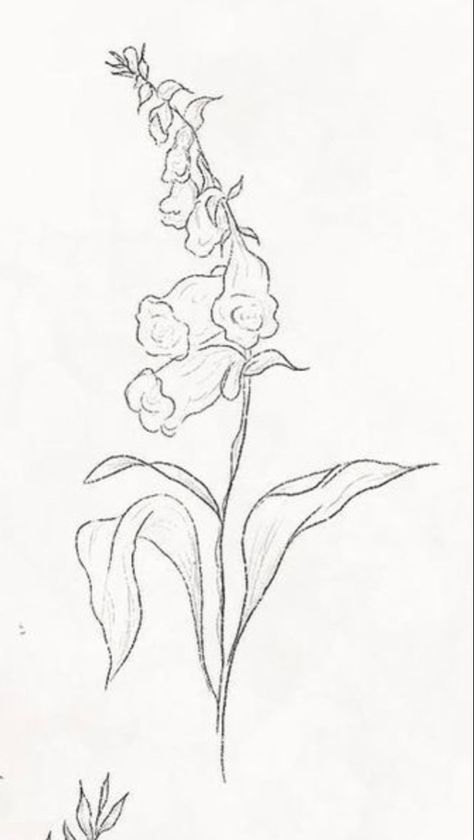 Foxglove Line Drawing, Fox Glove Flower Tattoos, Foxglove Drawing Simple, Foxglove Tattoo Simple, Foxglove Flower Drawing, Fox Gloves Tattoo, Foxglove Sketch, Foxglove Drawing, Foxglove Art