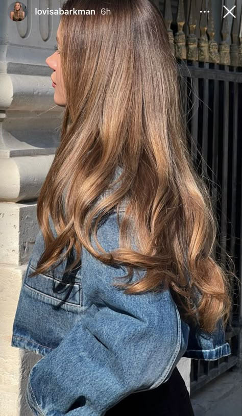 Rambut Brunette, Honey Brown Hair, Brown Hair Looks, Brown Hair Inspo, Hair 2024, Hair Stylies, Long Brown Hair, Hair Shades, Honey Brown