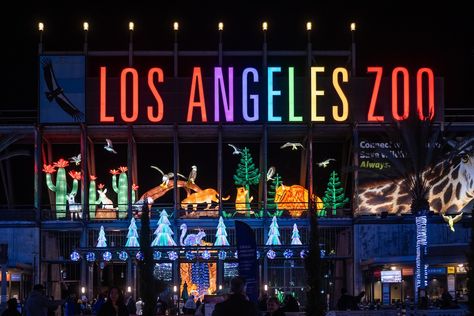 L.A. Zoo Lights: Animals Aglow - Los Angeles Zoo and Botanical Gardens Los Angeles Zoo, Interactive Displays, Zoo Lights, Save Wildlife, Interactive Display, Animals And Plants, Ice Crystals, Service Animal, Live Entertainment