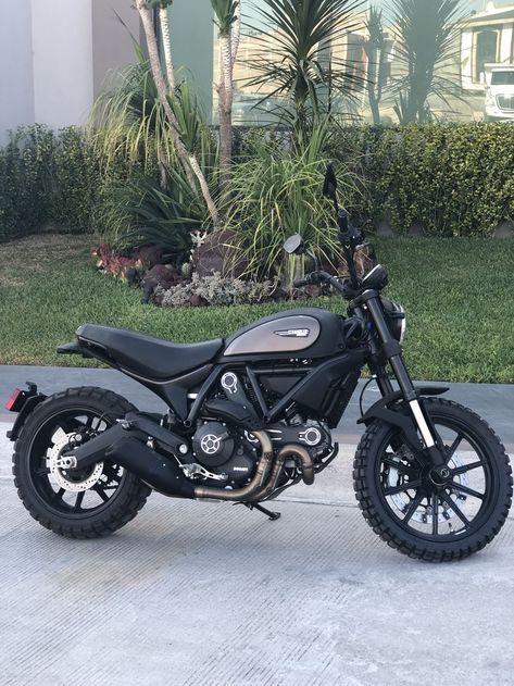 Ducati Scrambler Cafe Racers, Motor Custom Scrambler, Ducati Icon, Ducati Scrambler Icon, Ducati Scrambler Custom, Scrambler Icon, Ducati Motorbike, Moto Ducati, Scrambler Custom