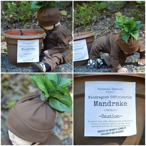 Harry Potter Mandrake Costume, Diy Mandrake Costume, Baby Mandrake Costume Diy, Mandrake Baby Costume, Harry Potter Diy Costumes, Mandrake Costume, Diy Mandrake, Baby Wearing Costumes, Hagrid Costume