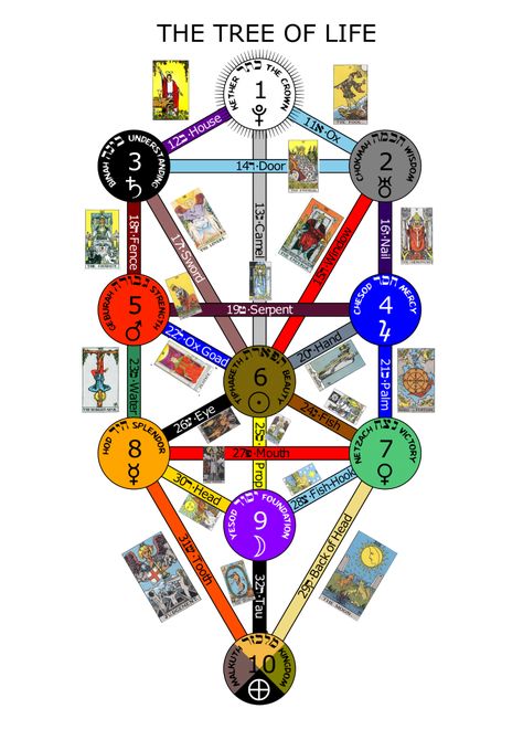 My studies on the Tree of Life Tarot Significado, Tarot Astrology, Free Tarot, Tarot Learning, Spiritual Meditation, Tarot Card Meanings, Minor Arcana, Tarot Art, The Tree Of Life