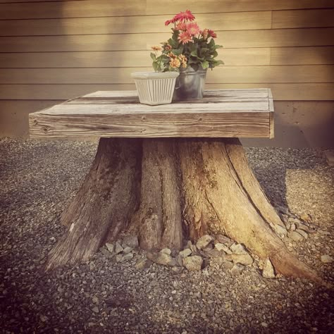 Tree Stump Table Stump Decor, Tree Stump Decor, Tree Stump Ideas, Tree Stump Planter, Stump Ideas, Tree Stump Table, Table Tree, Stump Table, Tire Planters