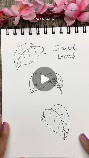 How To Draw Ferns, How To Draw A Leaf Step By Step, Leaves Sketch Pencil, Flower Sketch Pencil, Doodles Mandala, Draw Leaves, Doodle Leaves, Grass Drawing, Drawing Plants