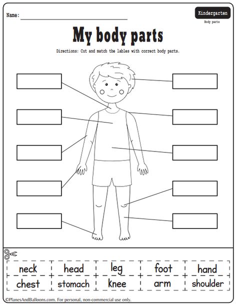 Parts Of The Body Worksheet Kindergarten, Body Parts Worksheet For Grade 1, My Body Parts Activities, Parts Of The Body Worksheets Preschool, Body Parts Worksheet Kindergarten, Body Parts Worksheet For Kids, My Body Worksheets For Kids, Part Of Body Worksheet, Parts Of Body Worksheet