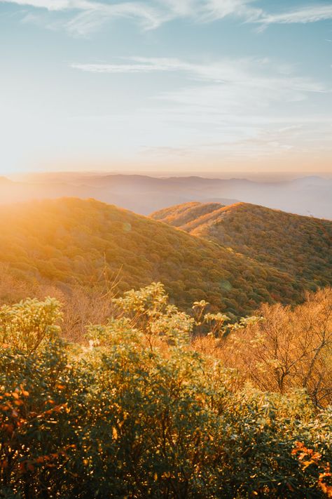 How to Spend A Weekend In Asheville, NC - Madelyne on the Move Asheville Nc Mountains, Asheville Nc Aesthetic, Asheville Aesthetic, Hopeful Aesthetic, Waterfalls In North Carolina, Moving Aesthetic, Spooky Board, Taco Pictures, Ashville North Carolina