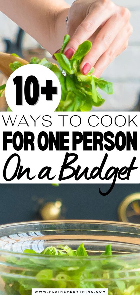 How to Cook For One Person On A Budget Freezer Meals Single Person, Cooking For One On A Budget, Cooking Healthy For One Person, Healthy Budget Meals For One, Meal Plan For One Person On A Budget, Healthy Eating For One Person, Meals For One On A Budget, Healthy Meals For 1 Person, Cooking Healthy For One