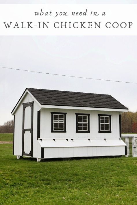 Chicken Coop Blueprints, Chickens Coop, Walk In Chicken Coop, Easy Chicken Coop, Chicken Tractor, Coop Design, Getting Ready To Move, Chicken Coop Designs, Motherhood Lifestyle