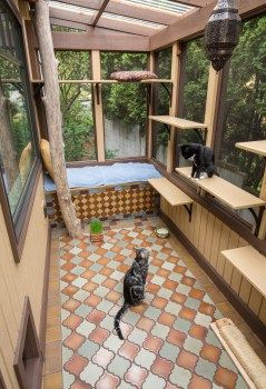 Sunroom as a catio = cat patio | The Casbah Catio Outside Cat Enclosure, Catio Plans, Diy Cat Enclosure, Cat Habitat, Cat Cozy, Katt Grejer, Cat Area, Terrasse Design, Cat Patio