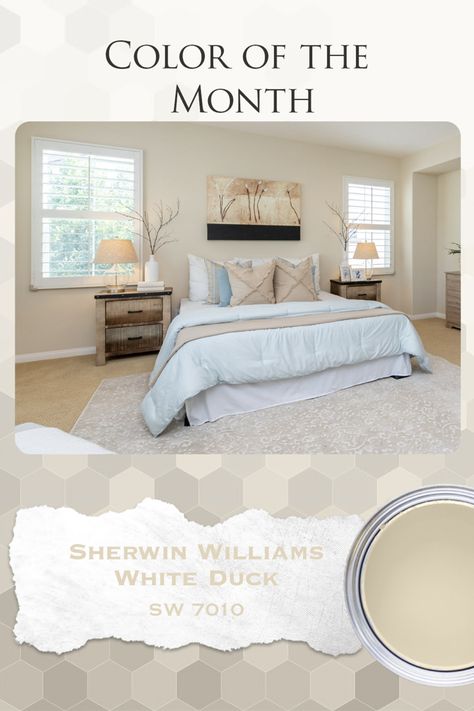 White Duck Paint Sherwin Williams, White Duck Interior Walls, White Duck Sherwin Williams Wall Colors, Sherwin Williams Timeless White, Sherwin Williams Whitetail Walls, Sherwin Williams Duck White, Sherwin Williams White Duck Walls, Sw White Duck Coordinating Colors, Sw White Duck Walls