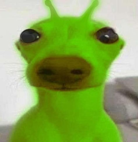 Alien Dog, Aliens Guy, Silly Alien, Alien Animals, Gnarp Gnarp, Alien Cat, Dog Meme, Animatronic Fnaf, Silly Cats Pictures