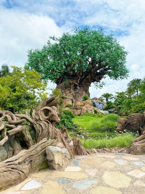 Wdw Animal Kingdom, Animal Kingdom Aesthetic, Magic Kingdom Aesthetic, Lion King Animals, Disney Animal Kingdom, Disney Vacation Planner, Xavi Hernandez, Disney Photo Ideas, Orlando Parks