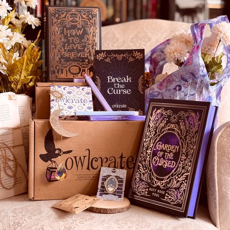 Book Subscription Boxes, Owlcrate Boxes, Book Lovers Gift Basket, Book Gift Basket, Easy Gift Baskets, Businesses Ideas, Bookish Items, Book Subscription Box, Book Boxes