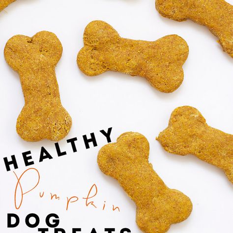 Healthy Pumpkin Dog Treats Recipe Desserts, Lunch with pumpkin purée, coconut… Dog Cookies Recipe Pumpkin, Pumpkin Dog Biscuits, Dog Cookie Recipes, Homemade Dog Cookies, Pet Recipes, Easy Dog Treat Recipes, Coconut Oil For Dogs, Dog Biscuit Recipes, Doggy Treats