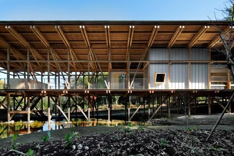 Tatami Room, Timber Architecture, Long House, Bjarke Ingels, Timber Buildings, Wood Architecture, Design Workshop, Daycare Center, Bamboo Fence