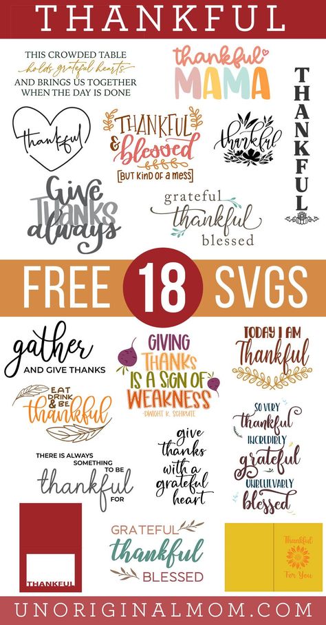 . #HalloweenDecor #SpookyFonts #FrighteningType #CreepyCalligraphy #GhoulishGraphics Mess Design, Cricut Thanksgiving, Thanksgiving Projects, Cricut Svg Files Free, Thanksgiving Svg, Free Thanksgiving, Custom Tee, Fall Svg, Thankful And Blessed