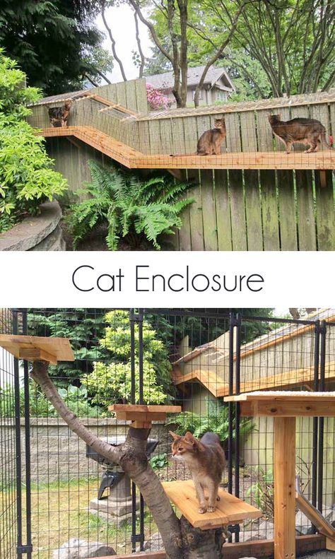 A reader built this cat enclosure inspired by my own DIY cat enclosure. It turned out fantastic. Pet Craft, Diy Cat Enclosure, Katt Grejer, Kat Diy, Cat Patio, Outdoor Cat Enclosure, Cat Run, Pictures Of Cats, Cat Enclosure