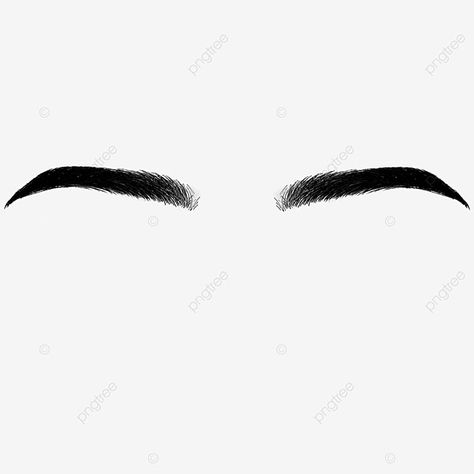 eyebrow clipart,eyebrow clip art,eyebrow,clipart,symmetry,standard eyebrow,art clipart Eyebrow Pictures, Gacha Eyebrows, Eyebrow Png, Eyebrows Drawing, Eyebrow Images, Eyebrow Art, Eyebrow Drawing, Grow Eyebrows Thicker, Rare Eye Colors