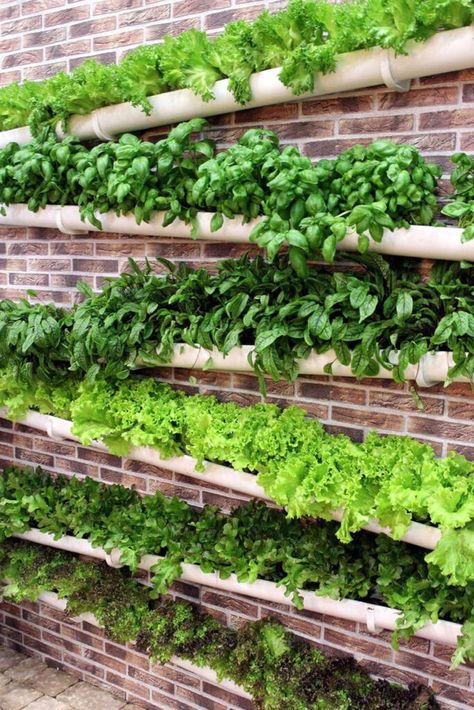 35 creative container vegetable garden ideas such as beautiful planters, vertical gardening, DIY pots, grow bags, & transforming recycled gallon buckets! - A Piece of Rainbow, backyard, garden, vegetable gardening ideas, small space tips, grow your own food, homestead, homesteading, spring, summer, edible garden, landscaping Vertical Vegetable Gardens, Gutter Garden, Vertical Garden Design, Vertical Vegetable Garden, Herb Garden Design, Vertical Herb Garden, Vertical Garden Diy, Recycled Garden, Walled Garden