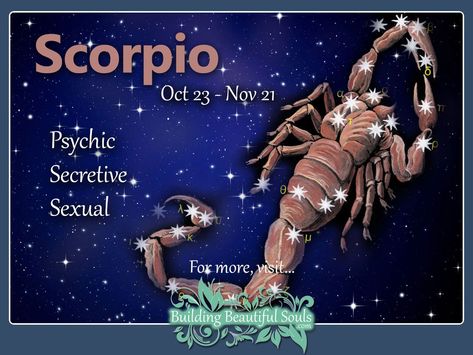 Scorpio Man Traits In Love & In Bed 1280x960 Scorpio Men Traits, Scorpio Traits Male, Scorpio Horoscope Today, Scorpio Daily Horoscope, April Horoscope, Sun Aquarius, Virgo Sun, Aquarius Moon, Scorpio Man