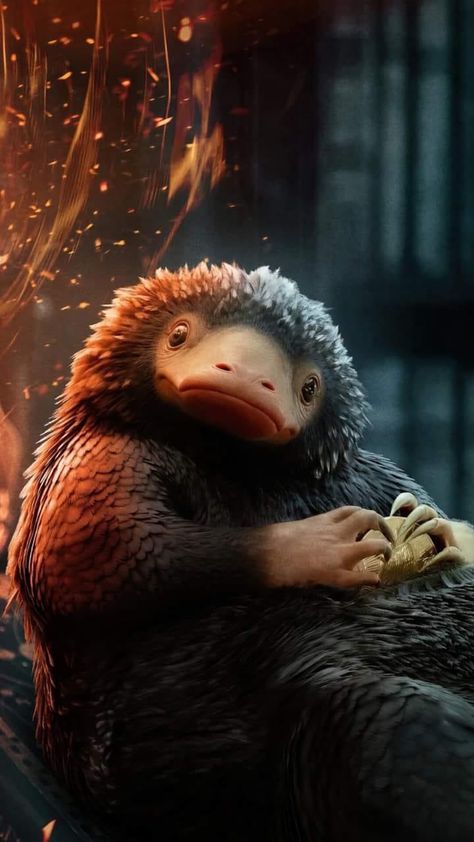 Niffler Wallpaper Fantastic Beasts, Fantastic Beasts Wallpaper Iphone, Harry Potter Hypogriff, Niffler Harry Potter, Niffler Wallpaper, Fantastic Beasts Animals, Fantastic Beasts Wallpaper, Niffler Art, Niffler Fantastic Beasts