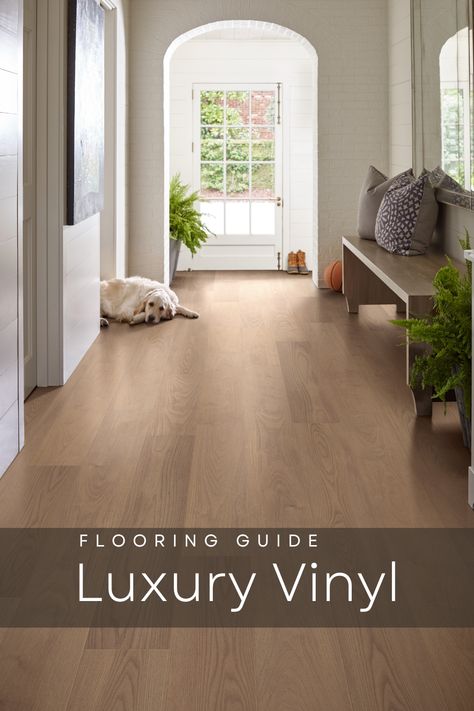 Beautiful luxury vinyl planks, look like real hardwood floors.  Long entryway shown with a bench leads to full glass window door.  A fluffy blond labrador lounges on the floors.  She looks content and satisfied with the luxury vinyl flooring her owner choose.  The floors are soft for her to walk on and are easier for her owner to clean up when she tracks in mud. Wooden Lvt Flooring, Vynil Flooring Ideas Living Room, Vinyl Flooring For Living Room, Luxury Vinyl Plank Flooring With Dark Cabinets, Modern Vinyl Flooring Bathroom, Modern Vinyl Flooring Living Room, High End Vinyl Plank Flooring, Light Brown Vinyl Flooring, Luxury Vinyl Flooring Living Room