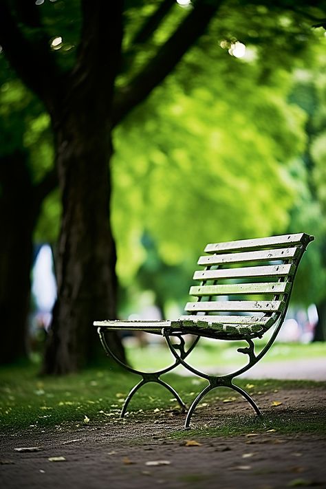 Chair Wallpaper, Park Background, Tree Background, Grass Background, Beautiful Profile Pictures, Nature Background Images, Bench Outdoor, Pink Background Images, Water Background