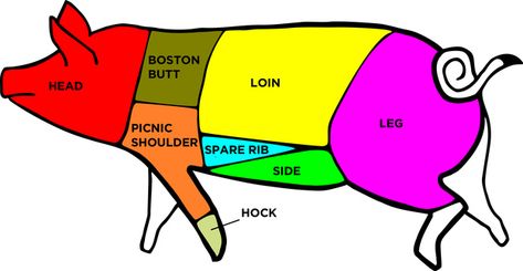 There are actually two different cuts that get called pork shoulder: “Boston butt” and “picnic shoulder.” | 23 Delicious Ways To Cook Pork Shoulder Pig Diagram, Pork Parts, Pig Meat, Hog Roast, Pork Sirloin, Pork Shoulder Recipes, Best Meat, Braised Pork, Baby Back Ribs