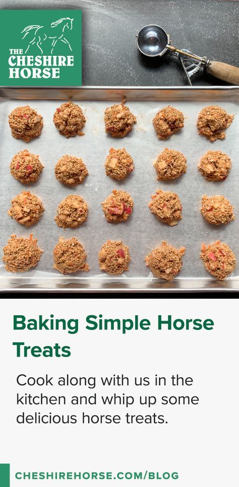 Baked Horse Treats, Dog And Horse Treats Homemade, Diy Horse Pill Pockets, Pumpkin Horse Treats, Healthy Horse Treats, Diy Horse Treats Recipes, Easy Horse Treats, Horse Treats Recipe Easy, Horse Treats Homemade