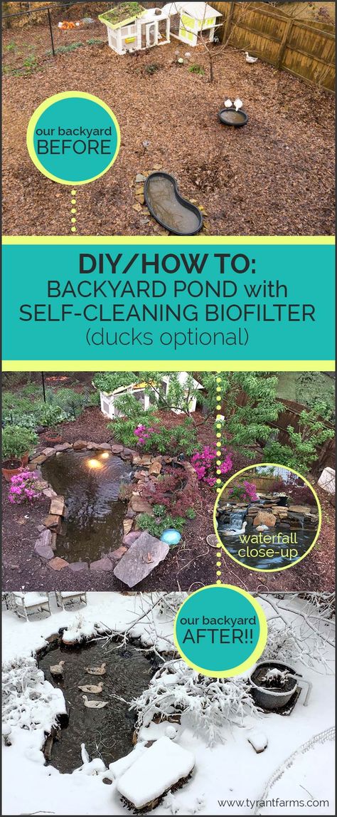 DIY/How To: Build a backyard pond with a self-cleaning biofilter Ducks And Chickens, Backyard Ducks, Duck Coop, Duck Stuff, Raising Ducks, Backyard Ponds, Diy Pond, Backyard Pond, Chickens And Ducks