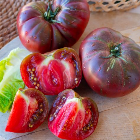 Growing Black Krim Tomatoes - The Heirloom With Stunning Fruit & Intense Flavor! Black Krim Tomato, Pineapple Tomato, Tomato Benefits, Worm Castings Tea, Heirloom Tomatoes Varieties, Tomato Support, Tomato Varieties, Types Of Tomatoes, Golden Garden