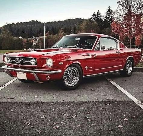 1965 Ford Mustang, 1967 Mustang, 1965 Mustang, Old Vintage Cars, Ford Mustang Fastback, Old School Cars, Mustang Fastback, Mustang Cars, Classy Cars