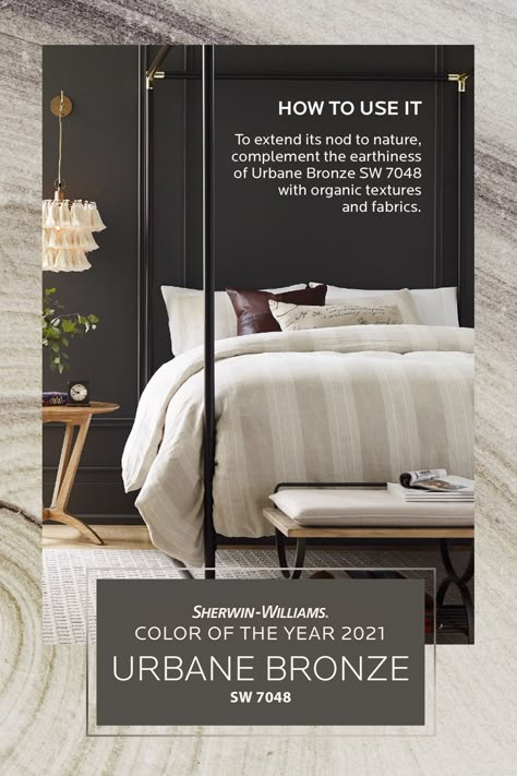 Urbane Bronze Accent Wall, Bronze Accent Wall, Sw Urbane Bronze, Sherwin Williams Urbane Bronze, Urbane Bronze Sherwin Williams, Bronze Bedroom, Urbane Bronze, Bedroom Decor For Women, Cozy Contemporary