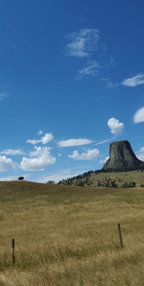 beautiful beautiful Wyoming Devils Tower Wyoming, Wyoming Landscape, Western Travel, Cowboys Wallpaper, Cheyenne Wyoming, Wyoming Cowboys, Devils Tower, Loving Kindness, Amazing Scenery