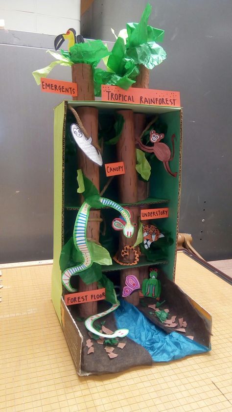 Tropical Rainforest Diorama Rainforest Diorama, Rainforest Preschool, Rainforest Classroom, Rainforest Crafts, Rainforest Project, Biomes Project, Rainforest Activities, Rainforest Biome, Ecosystems Projects