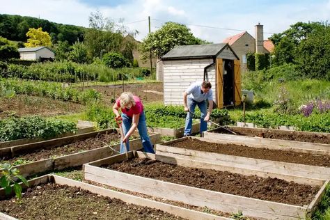 2048x1365-How-to-start-an-allotment-LI805369 Allotment Planner, Allotment Design, Allotment Plan, Allotment Shed, Veg Patch, Allotment Gardening, Year Planner, Veg Garden, Vegetable Garden Design