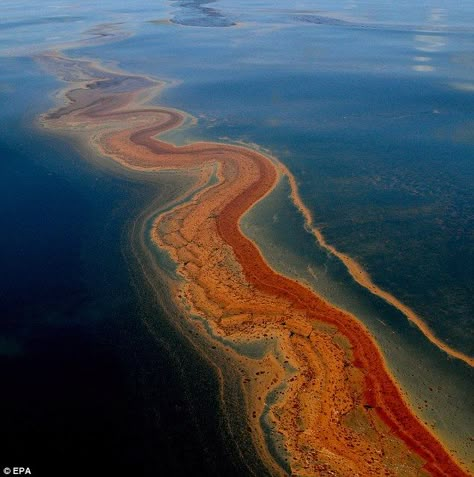 Deepwater Horizon Oil Spill, Oil Pollution, Deepwater Horizon, Marine Pollution, Ocean Pollution, Sea Floor, Oil Well, Water Pollution, Save Our Planet